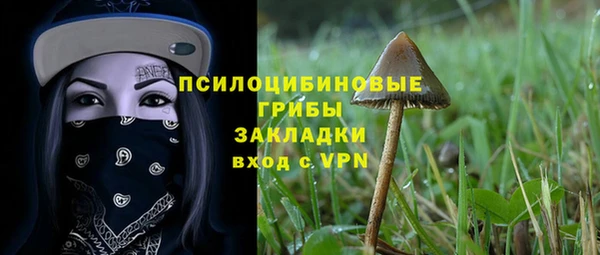 МДПВ Армянск