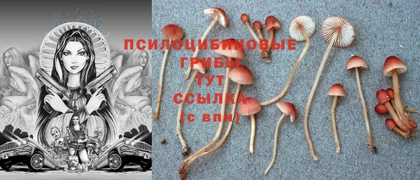 МДПВ Армянск