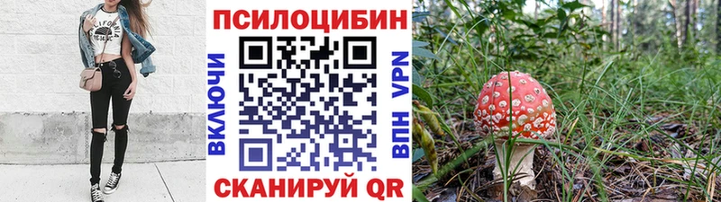 Псилоцибиновые грибы Psilocybine cubensis  Дедовск 